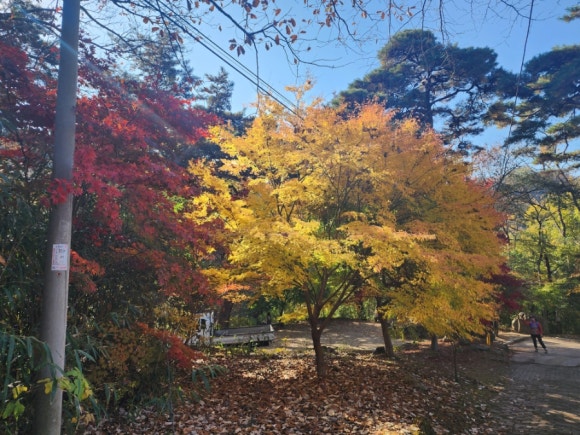 60d0e88599e8ff281596f4e1f7bb6f17_1731905