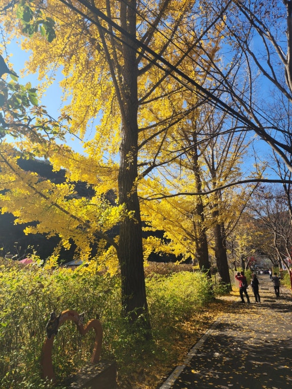 60d0e88599e8ff281596f4e1f7bb6f17_1731905