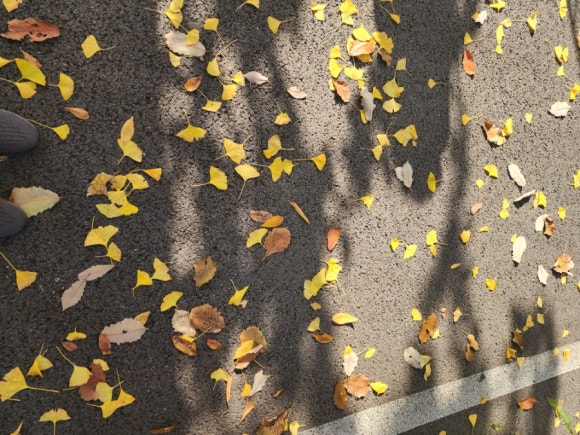 60d0e88599e8ff281596f4e1f7bb6f17_1731905