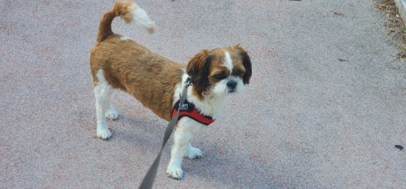 fd23a6f51d3e5b332bce45764ce134ca_1754617