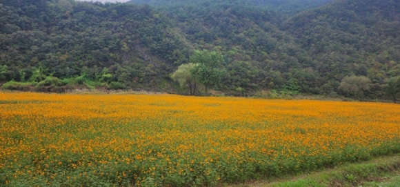 ef3e0adf9c63d6133419120ea9baa72d_1760938