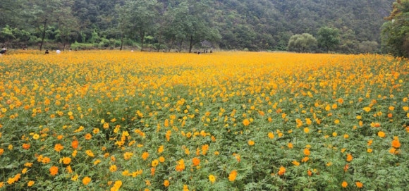 ef3e0adf9c63d6133419120ea9baa72d_1760938