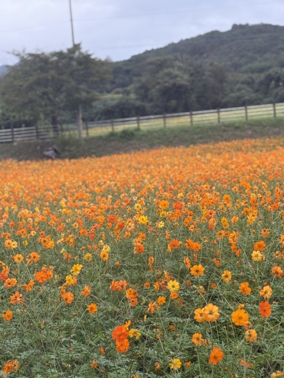 ef3e0adf9c63d6133419120ea9baa72d_1760938