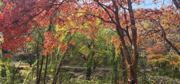 1f09e94d34e675919cdef712e457234e_1763436