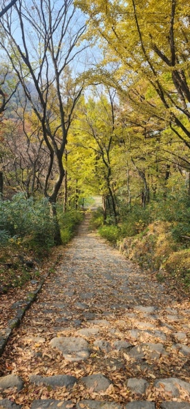 1f09e94d34e675919cdef712e457234e_1763436